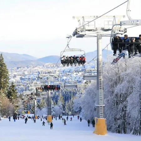 Apartment Large In Germany Near Ski Lift *